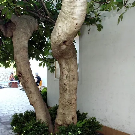 With A Parking Space Hvar - 624 Hvar Town