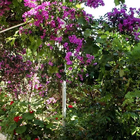 With A Parking Space Hvar - 624 Apartamento