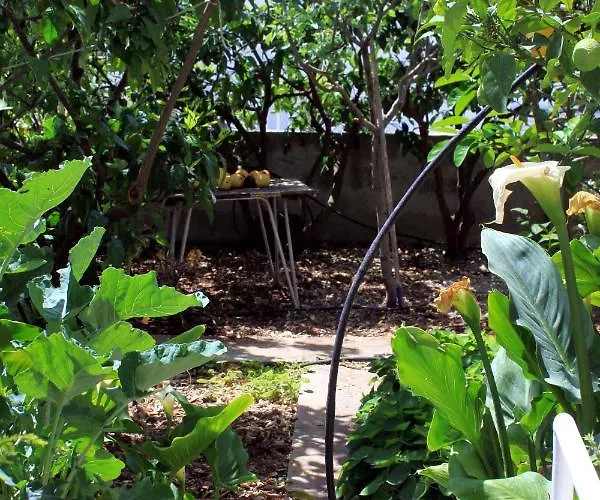 With A Parking Space Hvar - 624