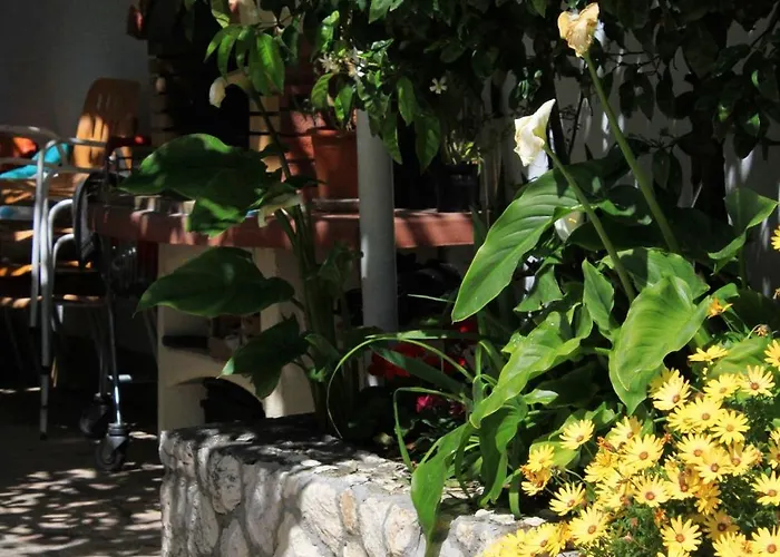 With A Parking Space Hvar - 624 *