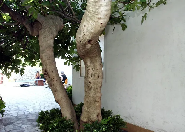 With A Parking Space Hvar - 624 Χβαρ