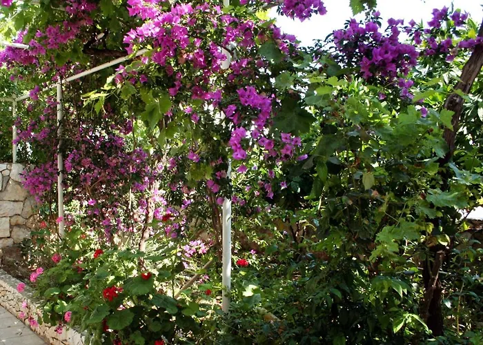 With A Parking Space Hvar - 624 Διαμέρισμα